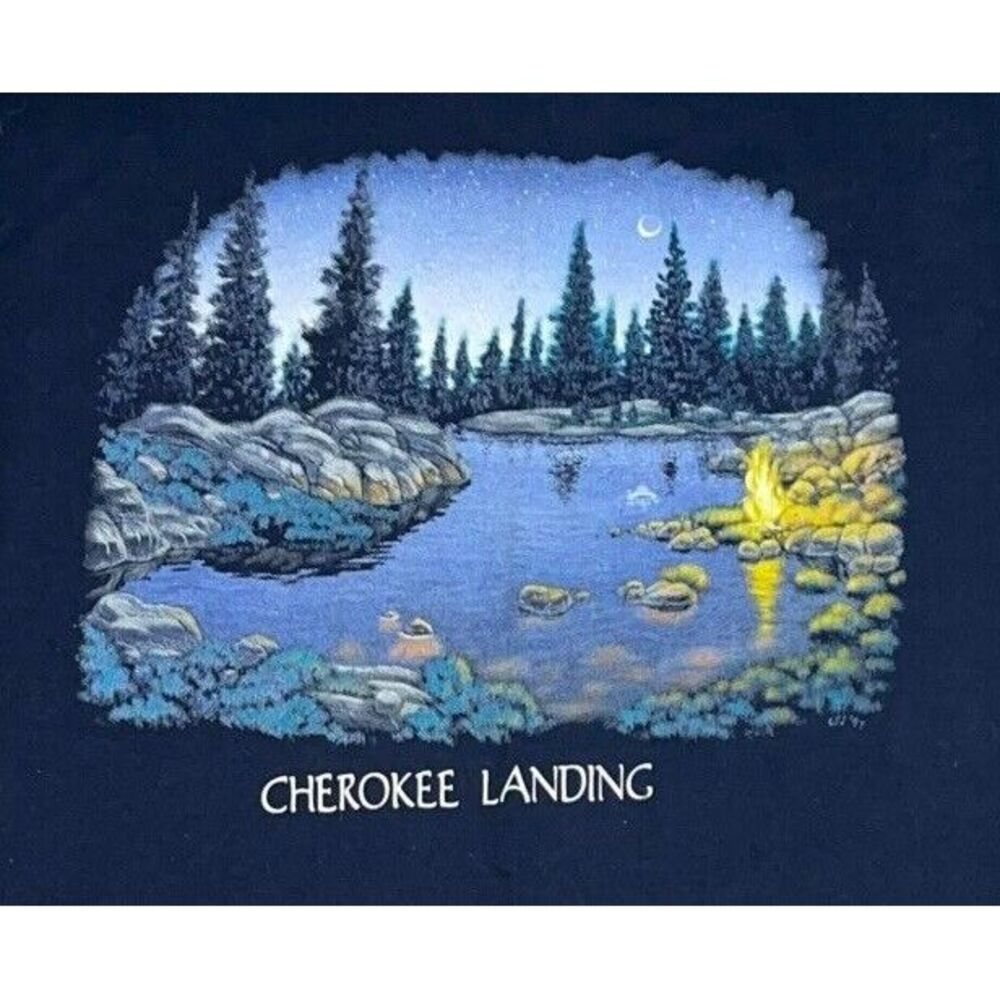 Vintage‎ Made In USA Cotton Graphic Tee T-Shirt Large State Park Single Stitch